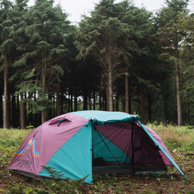 Passenger Exclusive Stay Grounded 2 Person Tent Virdian Green/Orchid